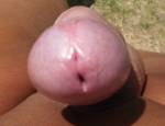 Glans with pre-cum