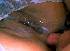 pic_0003.jpg