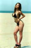 2bikini.jpg (92188 bytes)