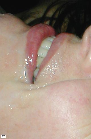 image536.jpg