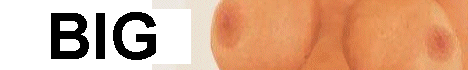 Animation2.gif (41269 bytes)