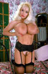 boobs77.jpg (47395 bytes)