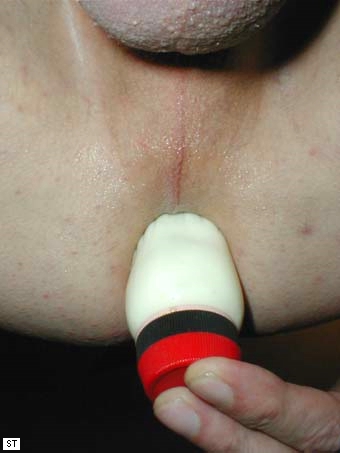 image264.jpg