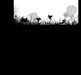 bottom sidebar img
