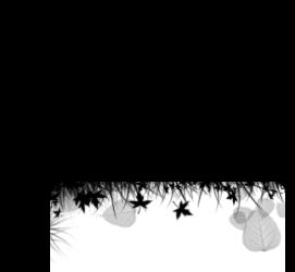 left sidebar img