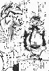  718x1024 81,199 Bytes
