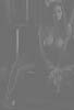 Wellcome to Photogalleries!