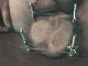 ashya1