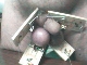 mouse2