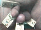 mouse3