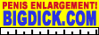 bigdick
