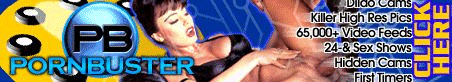PornBusters