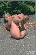  512x768 110,586 Bytes