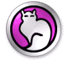 Persian Kitty - Over 200,000 Free Pics