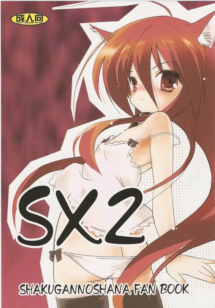 sx2_001.jpg