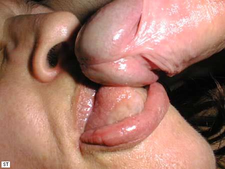 image367.jpg