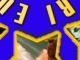 EUROPSKI VOAJERI