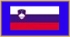 Slovenska stran